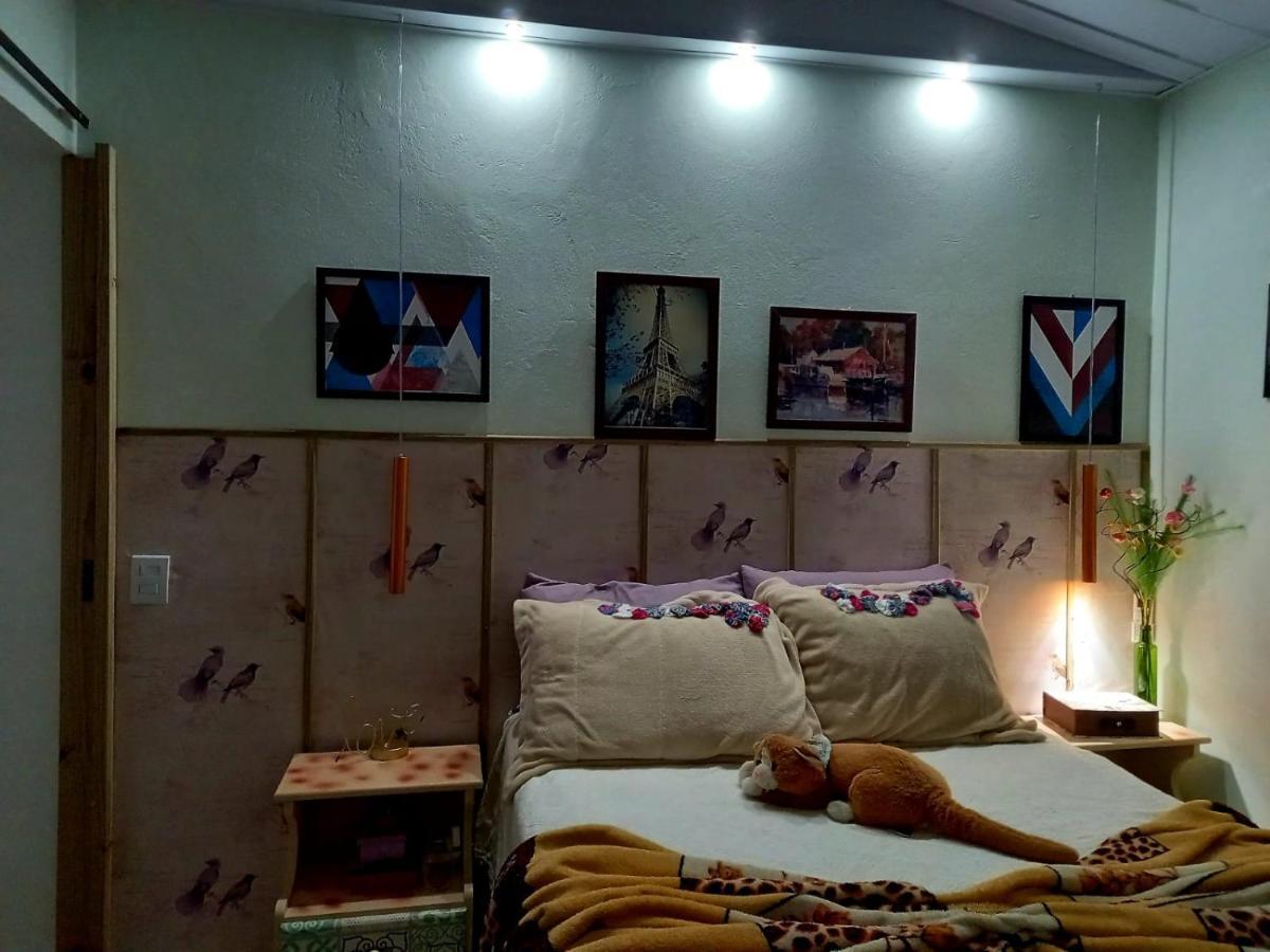 Casa Perto Do Centro Villa Гаропаба Екстериор снимка